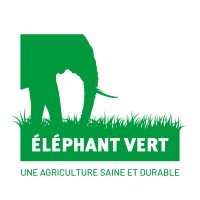Elephant Vert
