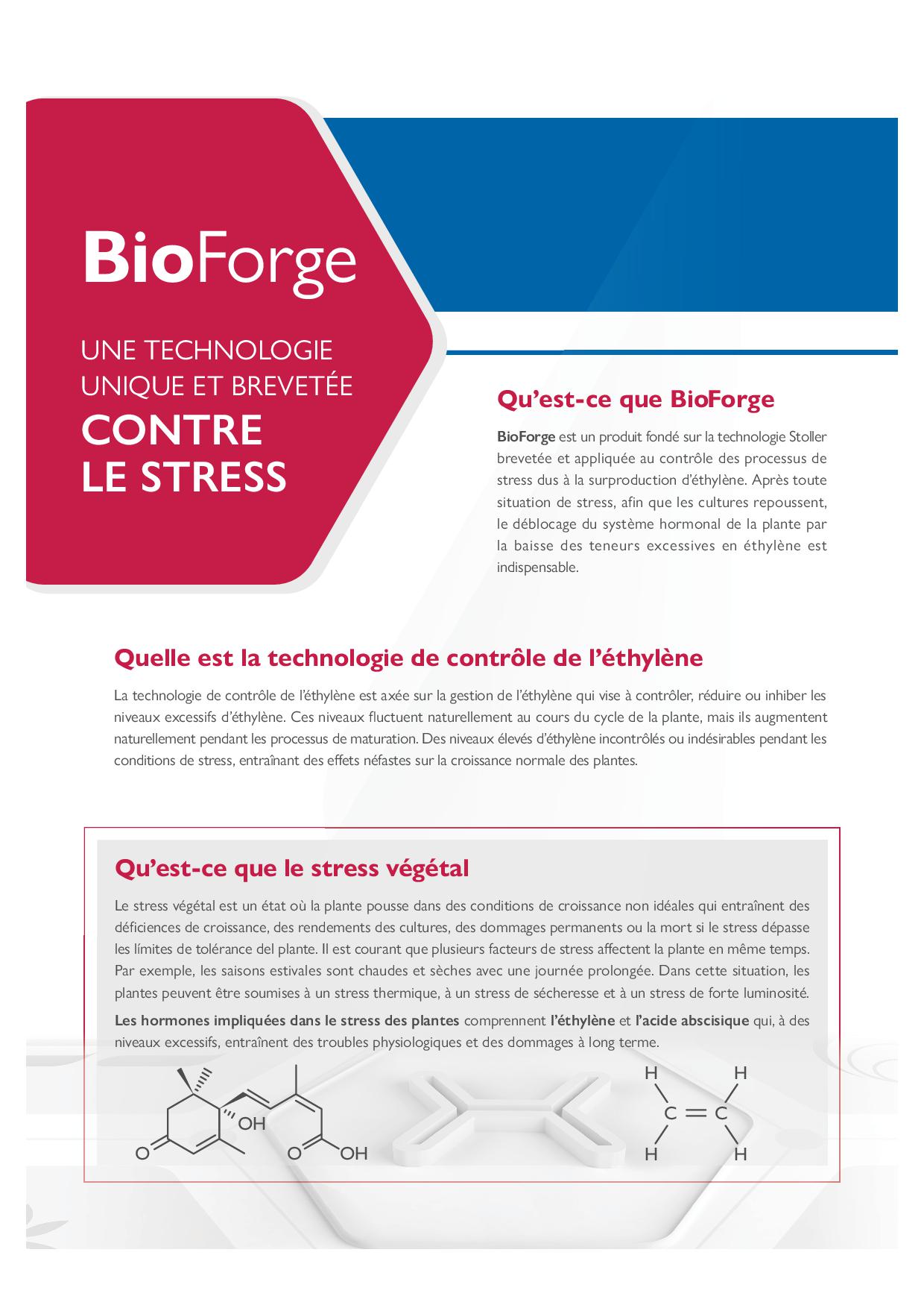 AF_bioforge_commercial_leaflet-web2
