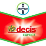 Decis expert® en 250 ml