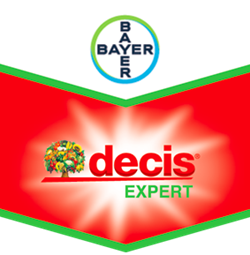 Decis expert® en 250 ml