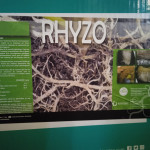 Rhyzo en 5 kg