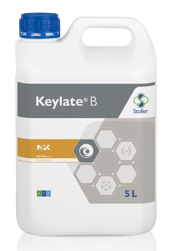 Keylate B bore en 5L